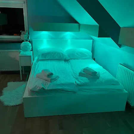 Dom Z Ogrodem W Krakowie Villa Krakau
