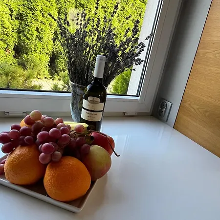 Willa Dom Z Ogrodem W Krakowie *