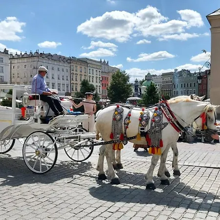 Dom Z Ogrodem W Krakowie Willa *