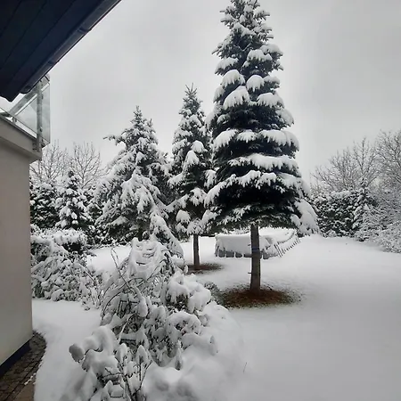 Dom Z Ogrodem W Krakowie Villa Kraków